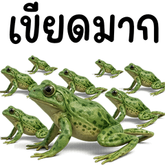 Communication of Meaning Word 2