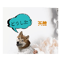 haru_20250826172005