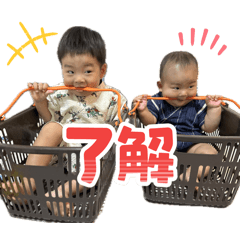 koara_20250826131710