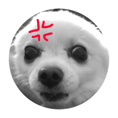 邱北鼻日常1