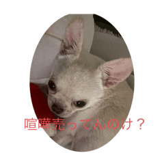 agttdtm