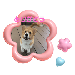 nanami_20250826195513