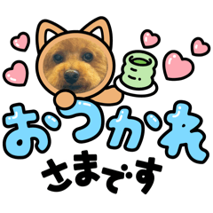 megu_202508262001344