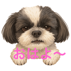 himawari_20250826144723