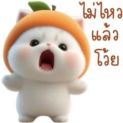 โนวา แมวขาวหมวกส้ม 1_92