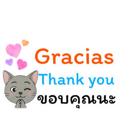 แมว3ภาษา ( España,English,ไทย)