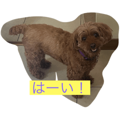 panda_20250826160330