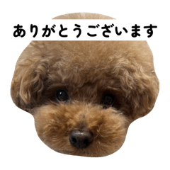 KOTETSU_20250826194649