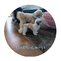 kurumi_20250826171337