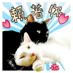 Love Meow (Taiwan)