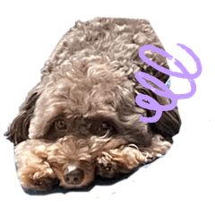 Ethan_20250826205539