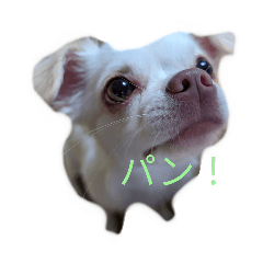 harry_20250826214221