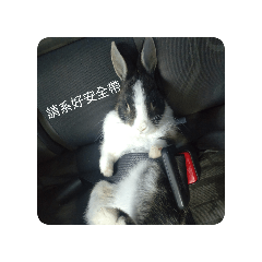 麻糬心情日常