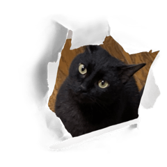 Toto- chan ver1