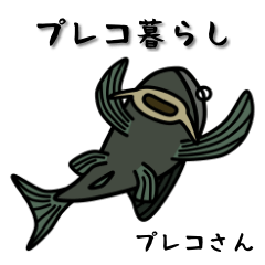 プレコ暮らし#04