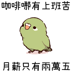 小小鸚鵡✨咖啡哪有上班苦 月薪只有兩萬五