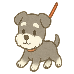 Fluffy Schnauzer Daily Life (No Text)