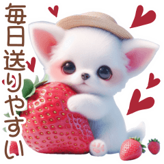 3D 毎日送りやすいチワワの日常