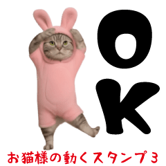 お猫様の動くスタンプ3