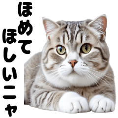 Scottish Fold Cute & Playful Stickers