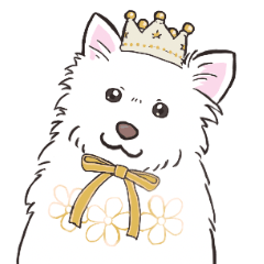Japanese spitz tummy up P Kagura sticker