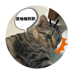 哇係豆奶..