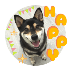 bluemonday.bruce_20250826164217