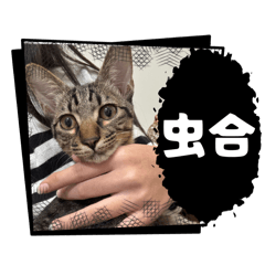 哇係豆奶2