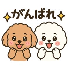 Toy Poodle & Bichon Fluffy Stickers