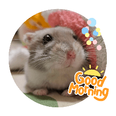 mahiro_20250826225045