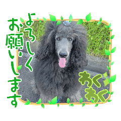 personal use_20250827013141