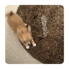 M_20250827001718
