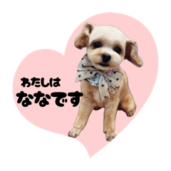 serina_20250827002333