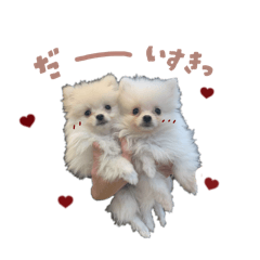 michan_20250826234927