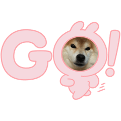 h_20250826202808