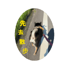 Pocky動起來