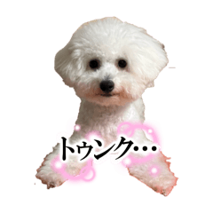 nanami_20250827050058