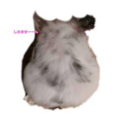 T_20250826232448