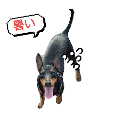 NANAMI_20250827100547