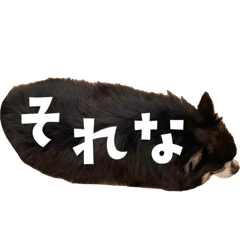 hinata_20250827010543