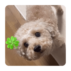 Daichi_20250827004141