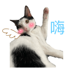 啊是要讓我過了沒？