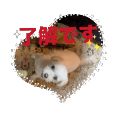 hide_20250827115517