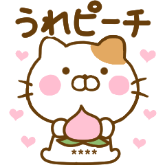 ねこひなのダジャレカスタムだよ