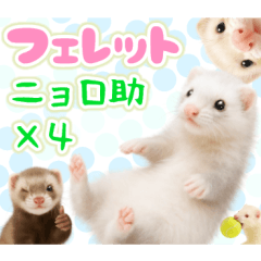 ニョロ助フェレット - 表情豊かな4カラー
