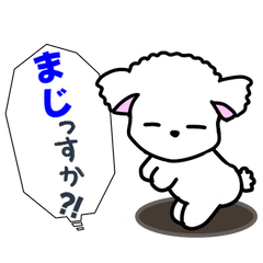 Mona the negative dog