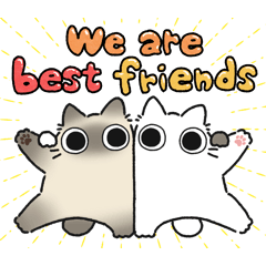 Siamese chubby cat (Friend)