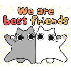 Gray chubby cat (Friend)