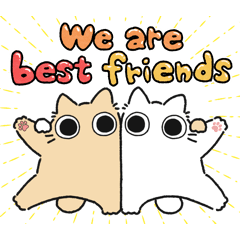 Cream chubby cat (Friend)