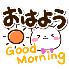 Very cute white cat118